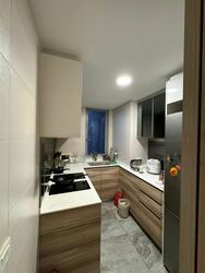 Stars Of Kovan (D19), Apartment #588236471